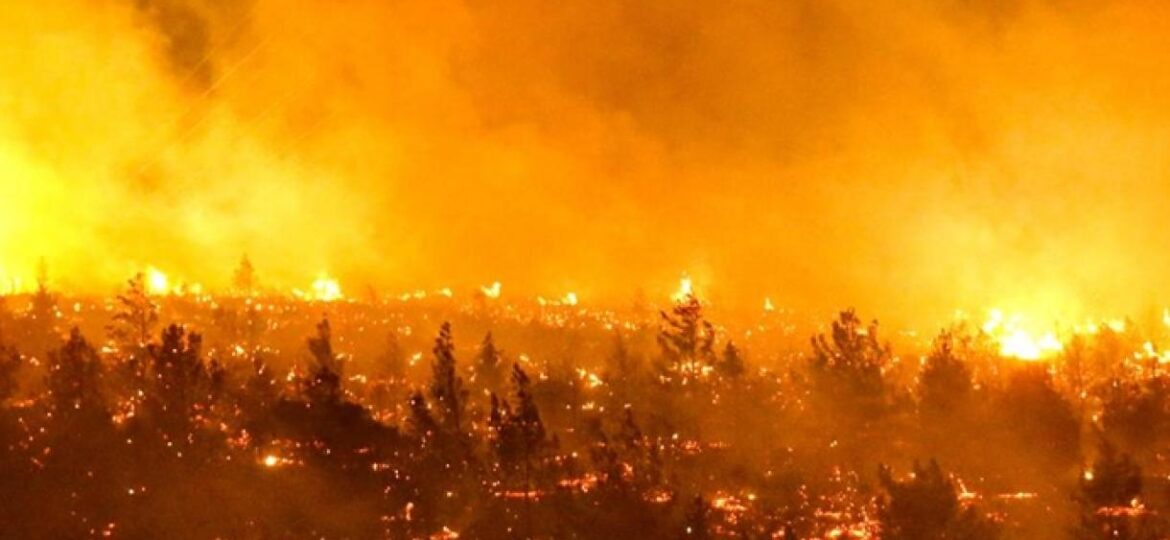 In Chile, the fight against more than 70 active forest fires continues