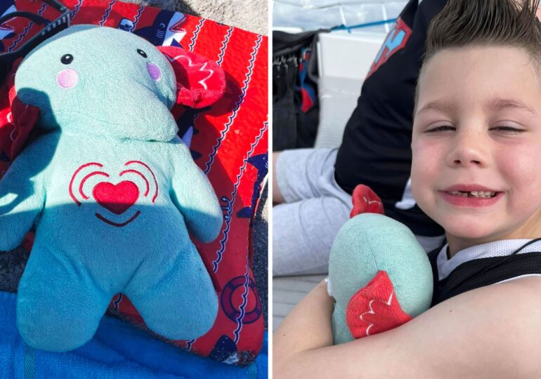 Family lose toy elephant with son's ashes inside on Disney trip