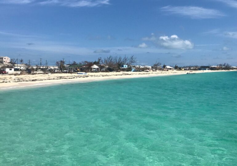 Shark bites off US woman's leg in Turks and Caicos Islands