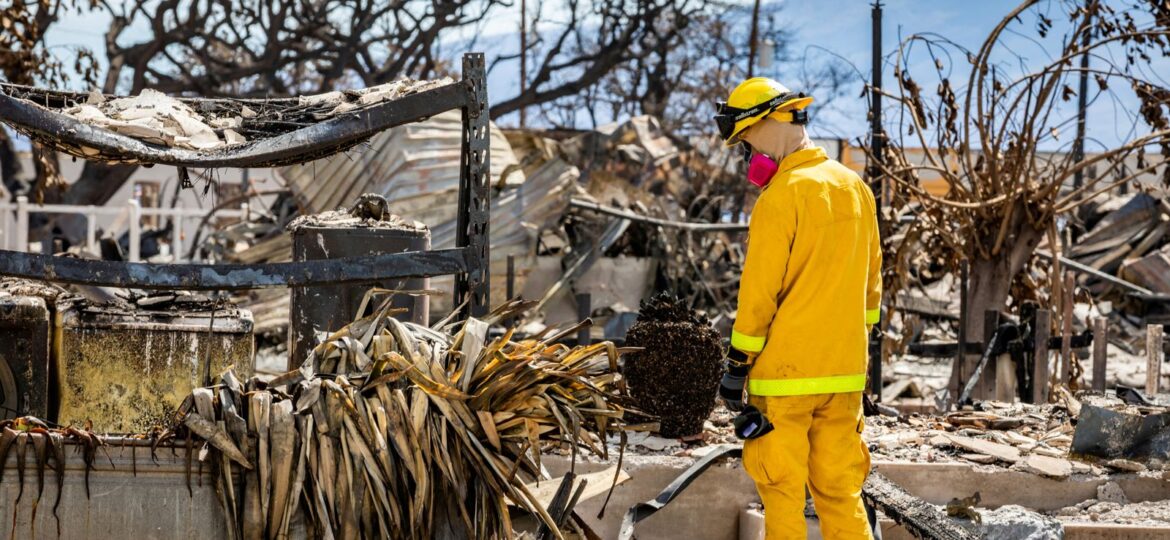 Hawaii wildfires: Missing persons list released with 388 still unaccounted for after blazes