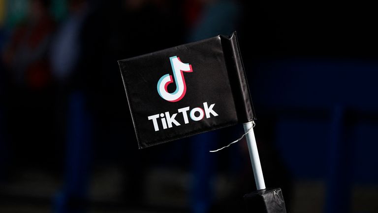 TikTok chief executive appeals directly to users to 'protect their constitutional rights' and oppose potential US ban