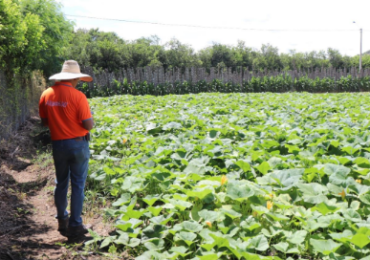Raúl Borja and CIBOCHEM: Transforming Agriculture with Organic Biostimulation