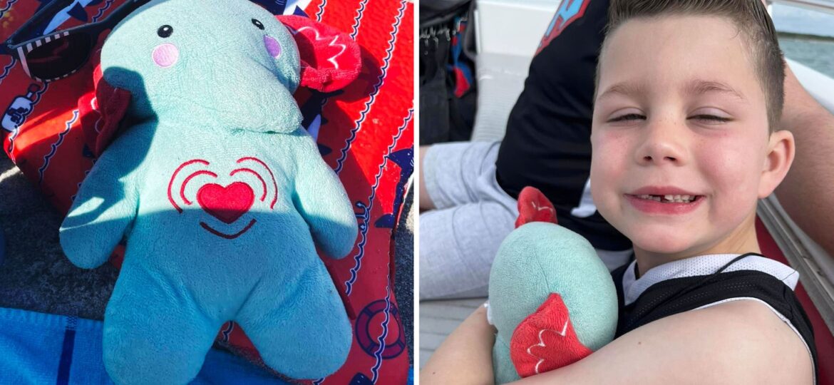 Family lose toy elephant with son's ashes inside on Disney trip