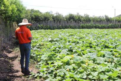 Raúl Borja and CIBOCHEM: Transforming Agriculture with Organic Biostimulation